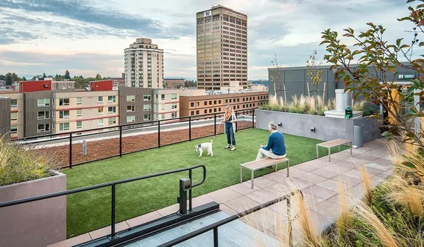 Pet-Friendly Apartments in Hitec City 2026